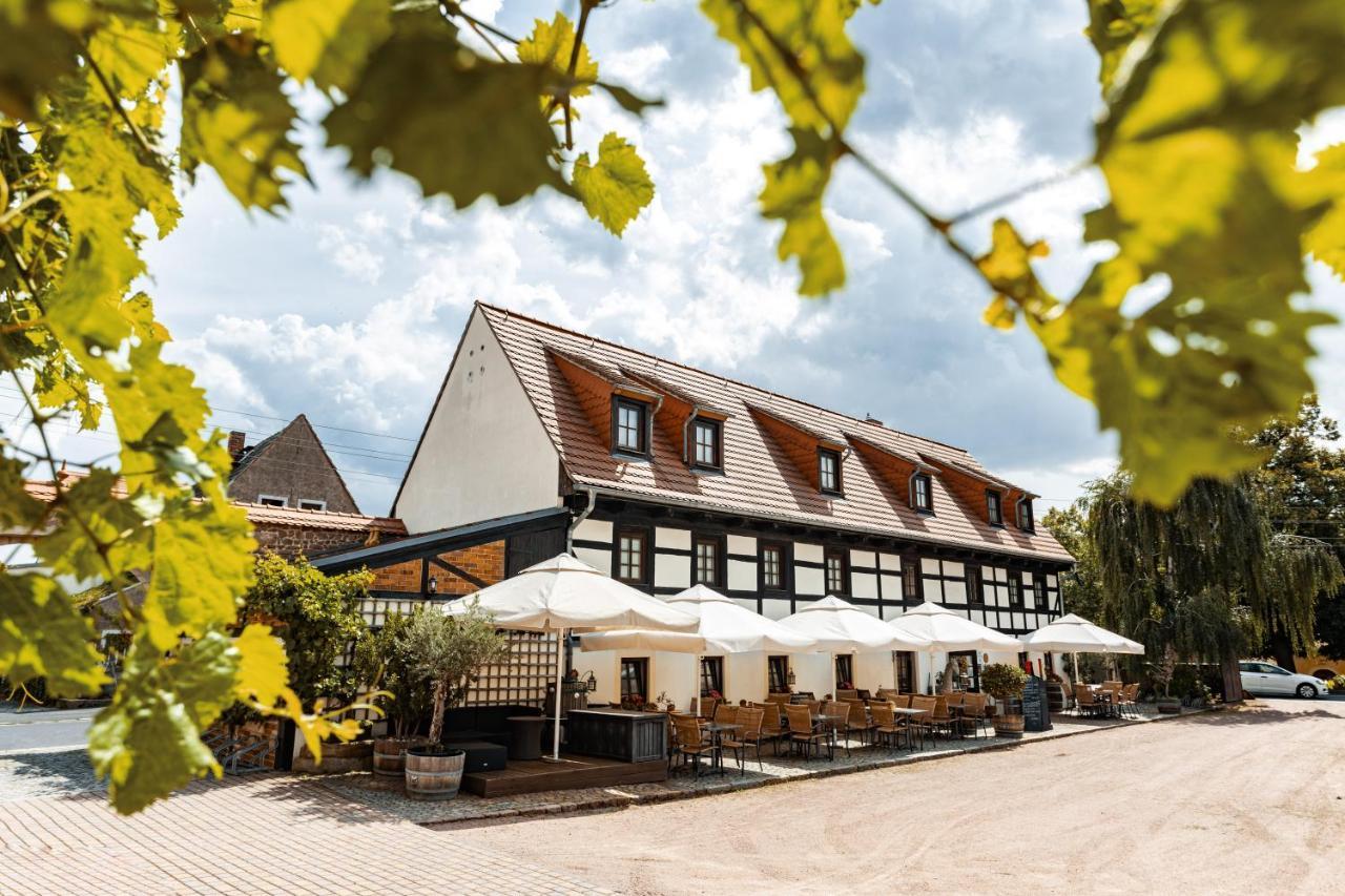 Weingut Schuh - Pension Zur Bosel Coswig  Exterior photo
